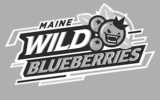 MAINE WILD BLUEBERRIES