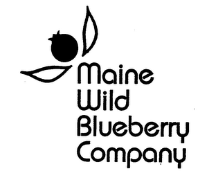 MAINE WILD BLUEBERRY COMPANY logo