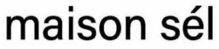 MAISON SéL logo