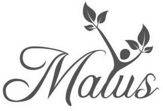 MAIUS logo