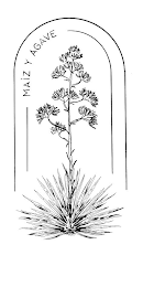 MAIZ Y AGAVE logo