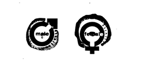 MALE FEMALE ACTIVITY logo