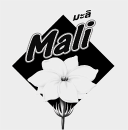 MALI logo