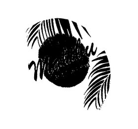 MALIBU ICE CREAM logo