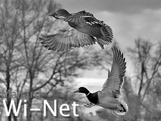MALLARD WI-NET logo