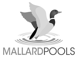 MALLARDPOOLS logo