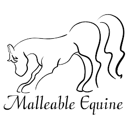 MALLEABLE EQUINE logo