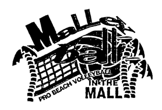 MALLEY BALL PRO BEACH VOLLEYBALL IN THE MALL logo
