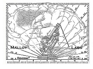 MALLOY LABS