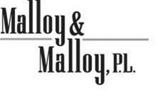 MALLOY & MALLOY, P.L. logo