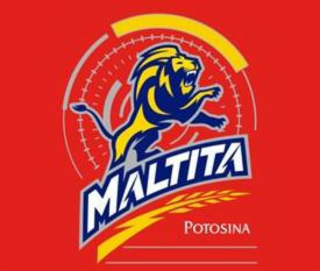 MALTITA POTOSINA logo