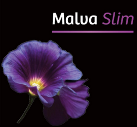 MALVA SLIM logo