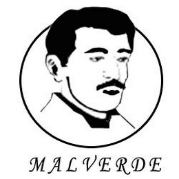 MALVERDE logo