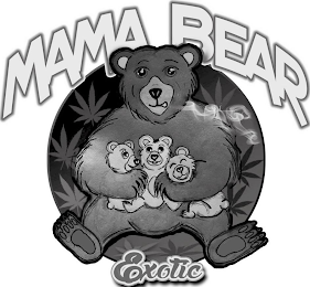 MAMA BEAR EXOTIC logo