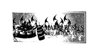 MAMA-BUSH'S SPICES MAMA BUSH'S BBQ SPICES, LLC. logo