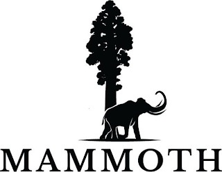 MAMMOTH logo