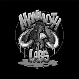 MAMMOTH LABS logo