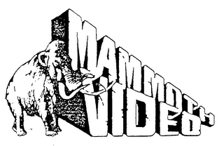 MAMMOTH VIDEO logo
