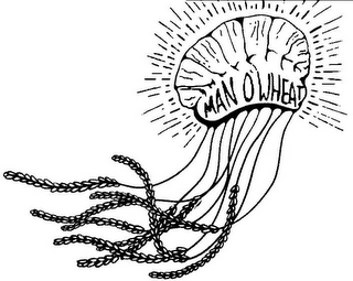 MAN O' WHEAT logo