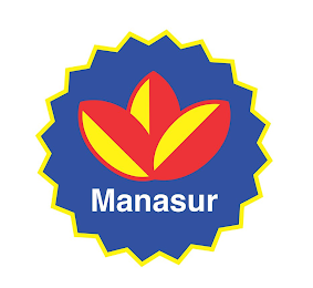 MANASUR logo