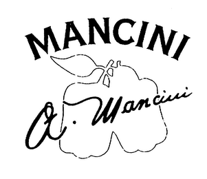 MANCINI A. MANCINI logo
