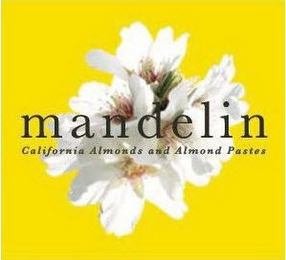 MANDELIN CALIFORNIA ALMONDS AND ALMOND PASTES logo