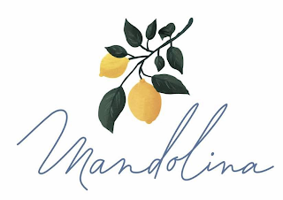 MANDOLINA logo