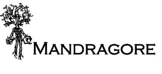 MANDRAGORE logo