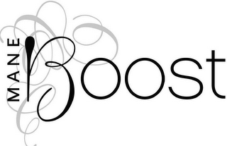 MANE BOOST logo