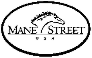 MANE STREET USA logo