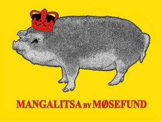 MANGALITSA BY MOSEFUND logo