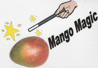 MANGO MAGIC logo