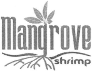 MANGROVE SHRIMP logo