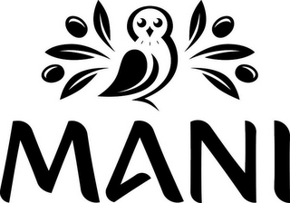 MANI logo