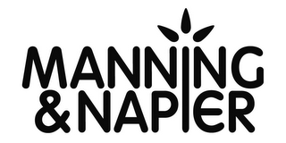 MANNING & NAPIER logo
