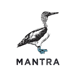 MANTRA logo