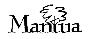 MANTUA logo