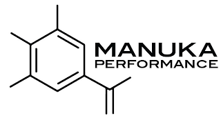 MANUKA PERFORMANCE logo