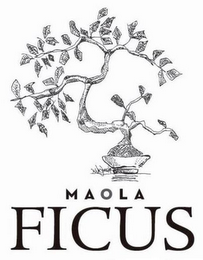 MAOLA FICUS logo