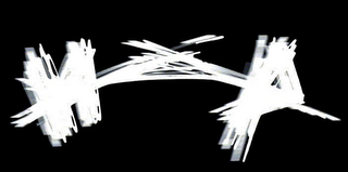 MAP logo