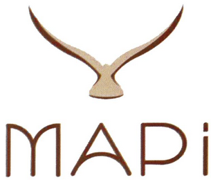 MAPI logo