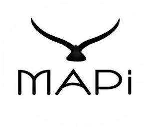 MAPI logo