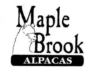 MAPLE BROOK ALPACAS SINCE 1993 logo