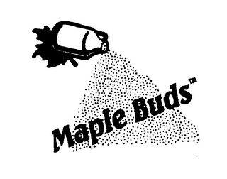 MAPLE BUDS logo