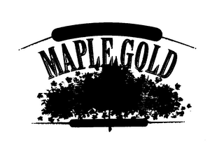 MAPLE GOLD logo