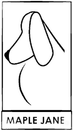 MAPLE JANE logo