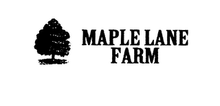 MAPLE LANE FARM logo