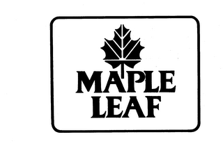 MAPLE LEAF logo