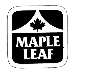MAPLE LEAF logo