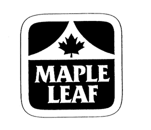 MAPLE LEAF logo